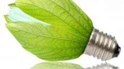 1660602929977 Ra12greenbulb 1660602929977 Ra12greenbulb