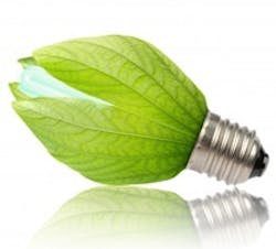 1660602929977 Ra12greenbulb 1660602929977 Ra12greenbulb