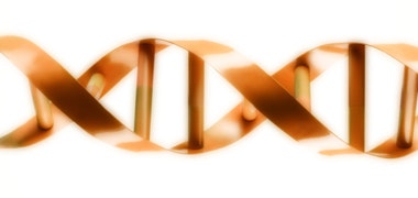 1660604469252 Cg1205dna