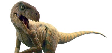 1660604578414 Cg1109covstry