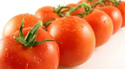 CG1110-tomatoes