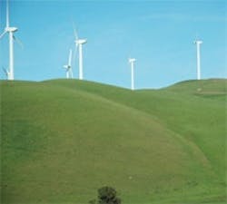 1660604810443 Cg1105 Green 1660604810443 Cg1105 Green