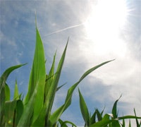 1660604888766 Cg1103 Sun