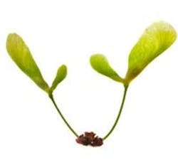 1660604902310 Cg1104 Spring 1660604902310 Cg1104 Spring