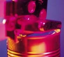 1660605008946 Cg1010 Worms 1660605008946 Cg1010 Worms