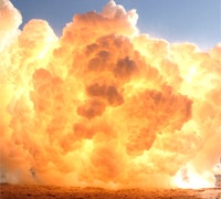 1660605030582 Cg1005 Plantexplosion