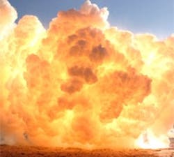 1660605030582 Cg1005 Plantexplosion 1660605030582 Cg1005 Plantexplosion