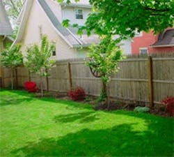 1660605040609 Cg1001 Backyard 1660605040609 Cg1001 Backyard