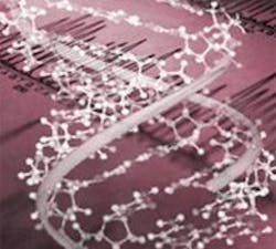 1660605058280 Raf10 Dna 1660605058280 Raf10 Dna