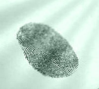 1660605068588 Raf10 Greenprint