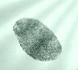 1660605068588 Raf10 Greenprint 1660605068588 Raf10 Greenprint