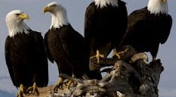 1660605198853 Cg1001 Atebutton 1660605198853 Cg1001 Atebutton