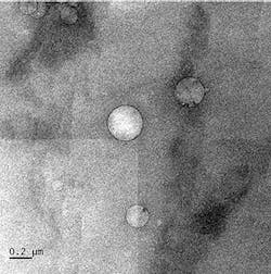 1661880180357 0224crude1web350 1661880180357 0224crude1web350