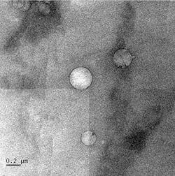 0224-CRUDE-1-WEB-350 0224-CRUDE-1-WEB-350