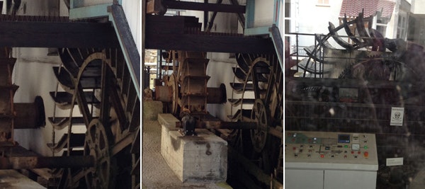 1661891384155 Cg1306festofig1