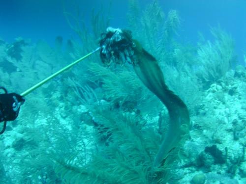 1661891446009 20130222 10 11 06