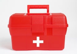 1661893745199 Cg1304pautoblood