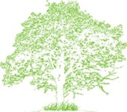 1661898440309 Cg0904 Covstrybutton 1661898440309 Cg0904 Covstrybutton