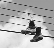 1661898446455 Cg0906 Feedbutton