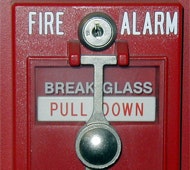 1661898465774 Cg0906 Editbutton