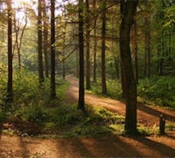 1661898631404 Cg0910 Millbutton 1661898631404 Cg0910 Millbutton