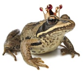 1661898644363 Cg0904 Flowbutton