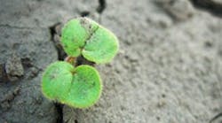 CG0910_CovStryButton CG0910_CovStryButton