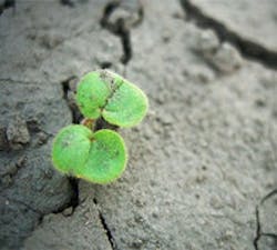 1661898654248 Cg0910 Covstrybutton 1661898654248 Cg0910 Covstrybutton