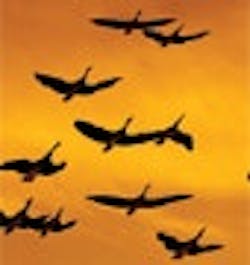 1661898745222 Cg0901 Migration 1661898745222 Cg0901 Migration