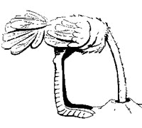 1661898761016 Cg0911 Afraid