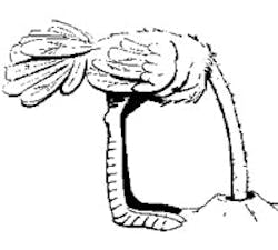 1661898761016 Cg0911 Afraid 1661898761016 Cg0911 Afraid