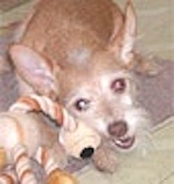 1661898852125 Cg0811 Otbbutton 1661898852125 Cg0811 Otbbutton