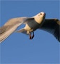 1661898898945 Cg0809 Wireless 1661898898945 Cg0809 Wireless