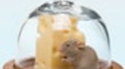 CG0808_TurbingsButton CG0808_TurbingsButton