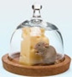 1661898937028 Cg0808 Turbingsbutton 1661898937028 Cg0808 Turbingsbutton