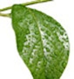 1661898960166 Cg0807 Green 1661898960166 Cg0807 Green