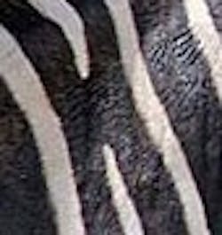 1661899118262 Cg0802 Editorialbutton 1661899118262 Cg0802 Editorialbutton