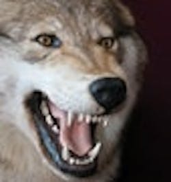 1661899132422 Ct0801 Cyberbutton 1661899132422 Ct0801 Cyberbutton