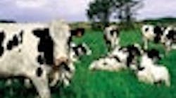 1661899272045 0709 Databutton 1661899272045 0709 Databutton