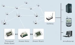 article_245_fig2 article_245_fig2