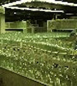 1661899891130 Bottles Tnail 1661899891130 Bottles Tnail