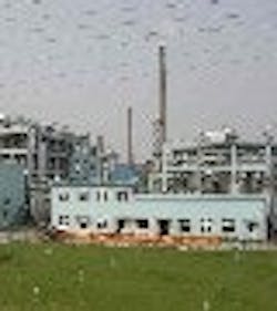 1661899900993 Wuxiplant Tnail 1661899900993 Wuxiplant Tnail