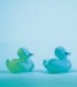 1661900093288 Ducks 1661900093288 Ducks