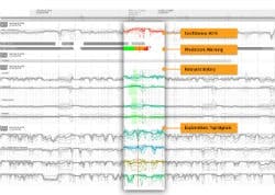 1663367020901 Falconrypredictiondetails06250 1663367020901 Falconrypredictiondetails06250