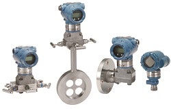 1663368439820 1306ruemersonrose