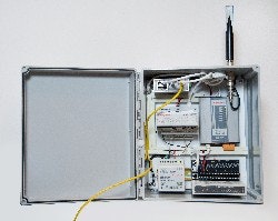 1663370018346 Honey910