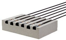 1663370179934 Ballufloresf 1663370179934 Ballufloresf