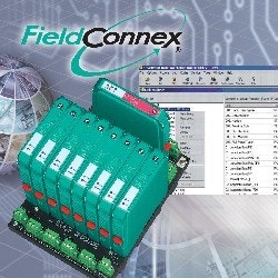 1663370539436 Pandflores