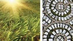 1663606690079 Imageofcropsontheleftandaerialimageofhomeswithwhiteroofsontheright 1663606690079 Imageofcropsontheleftandaerialimageofhomeswithwhiteroofsontheright