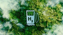 trees with a cut out of a h2 pump trees with a cut out of a h2 pump